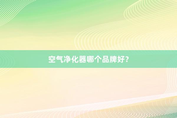 空气净化器哪个品牌好？