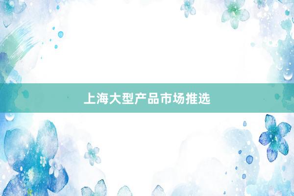 上海大型产品市场推选