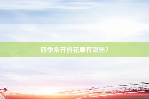 四季常开的花草有哪些？