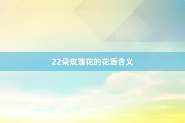 22朵玫瑰花的花语含义